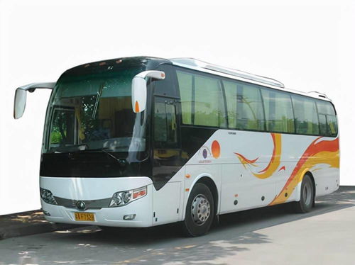 國慶租車首選泰州中航租車，專業服務助力便捷出行